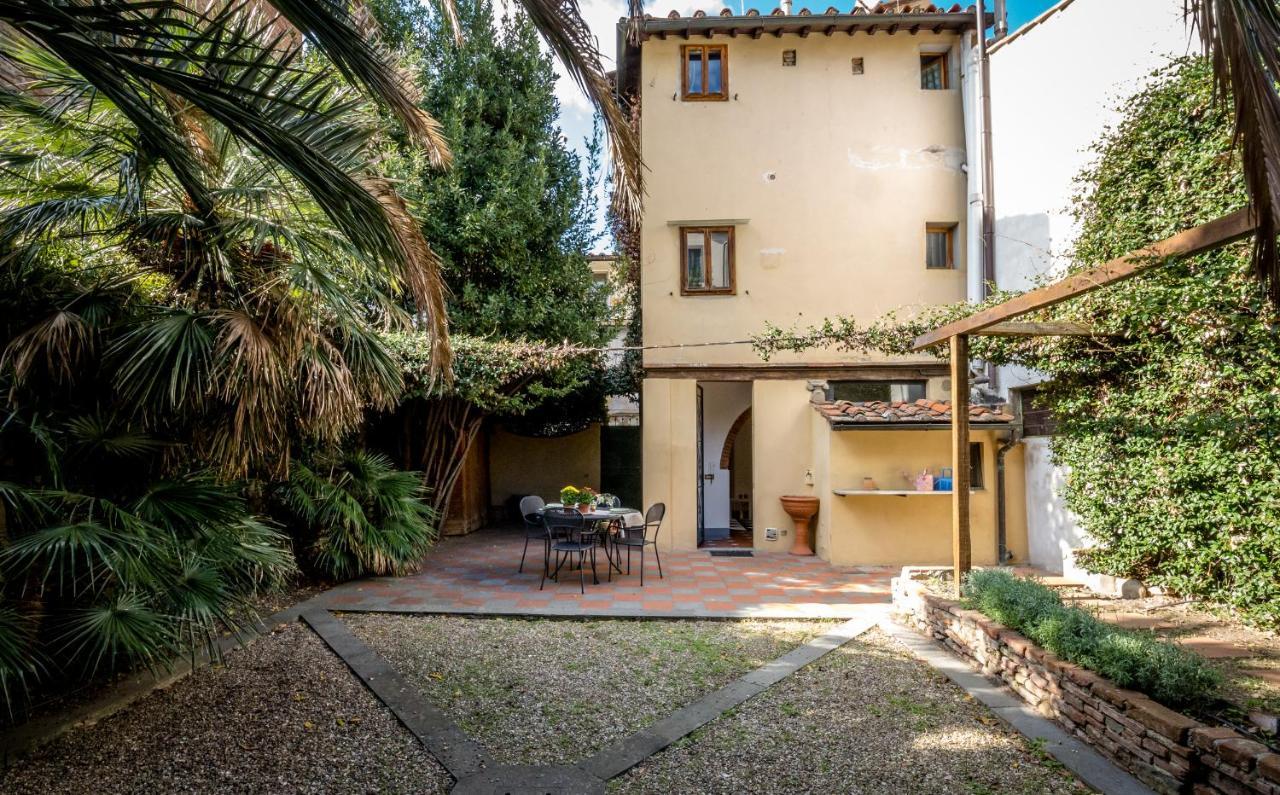 Acacia - Palma Florenz